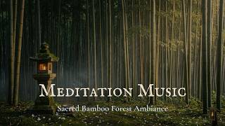 Bamboo Forest Ambient | 9 Hours of Zen Meditation Music with Shakuhachi and Koto