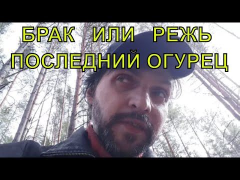 ผลสลากกินแบ่งรัฐบาล วันที่ 1 พย. 2567