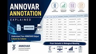 ANNOVAR Explained: Understand Every Column in Your Annotation File