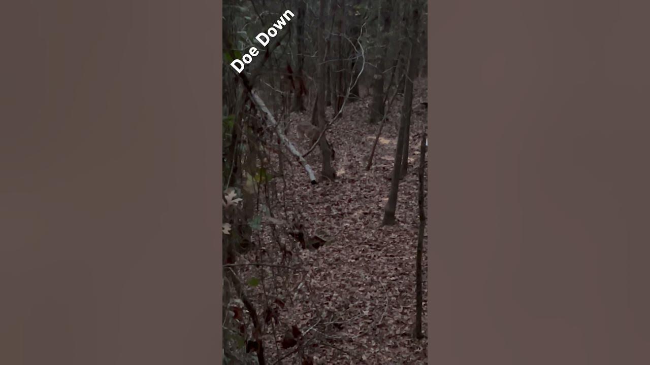 meatinthefreezer-25-yards-12-gauge-double-ought-buck-shot-youtube