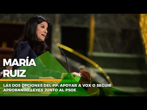 Las dos opciones del PP: apoyar a VOX o seguir aprobando leyes junto al PSOE