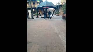 VID 20200104 162939