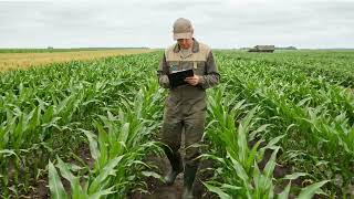From Satellite Data to Agricultural Intelligence | Solvao Terra