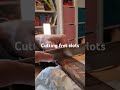 cutting fret slots