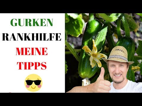 gurken-rankhilfe-im-pflanzkasten-😍-mein-balkon-garten