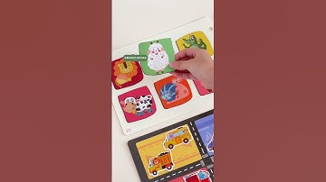 Sách Busy Book Toki Cat | Mangobebé