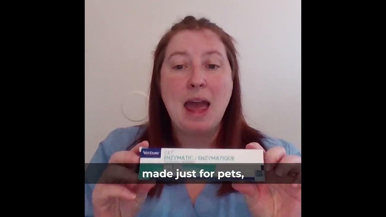 How To Brush Your Dog's Teeth YouTube