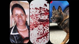 Woman murdered on Valentine’s Day. Sniffer Dog spots killer.