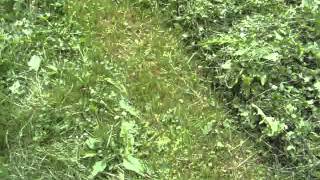 MOV04662