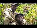 Protéger les Gorilles de la Guerre: La Bataille de Dian Fossey