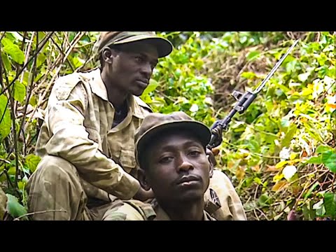Video: Dian Fossey: fotoğraf, biyografi, bilimsel etkinlik