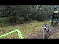 Les Cani’Belgariade 33 au Verdon sur Mer