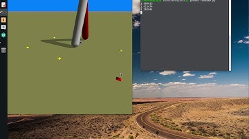 Assignment 5 Evolutionary Robotics