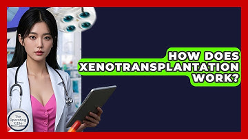 How Does Xenotransplantation Work? - The Operating Table