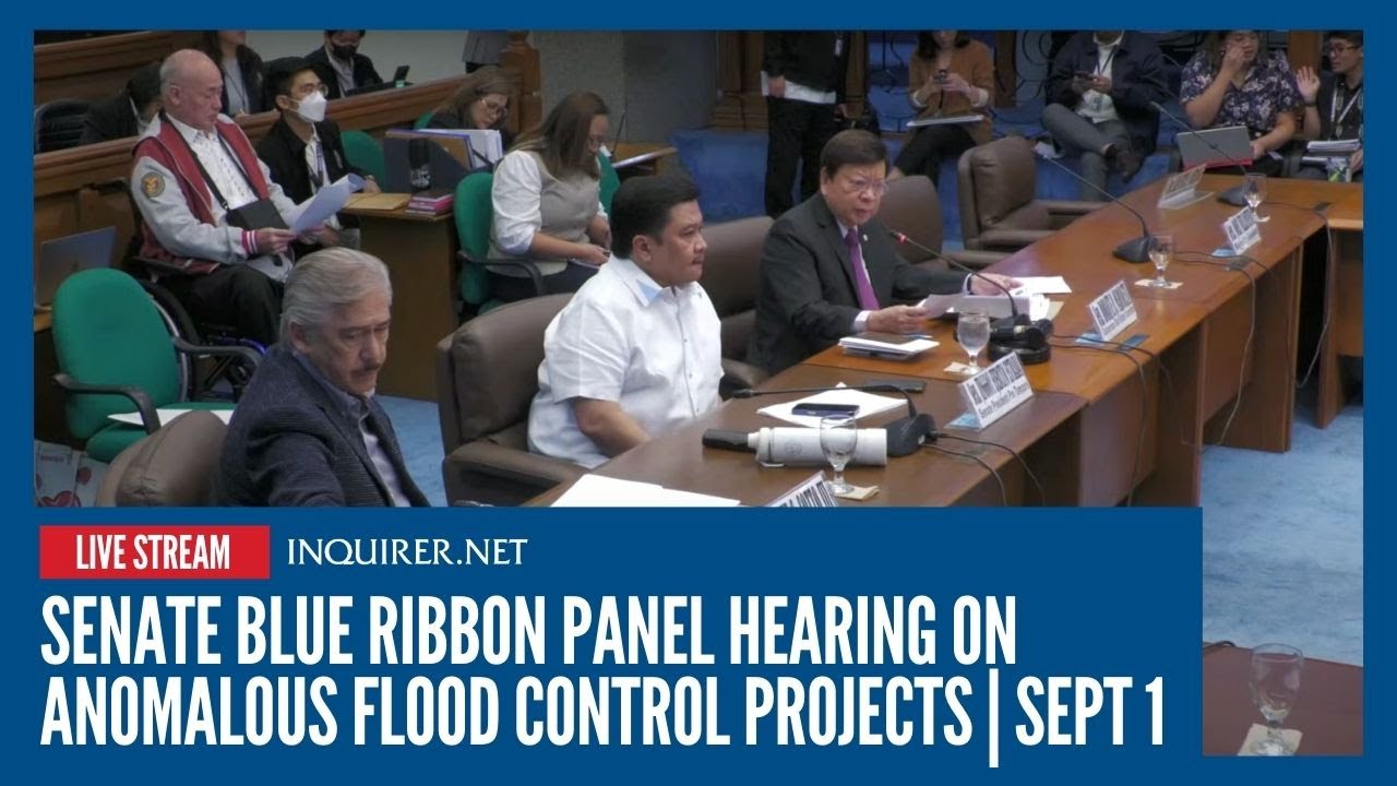 LIVE: Senate blue ribbon panel hearing on anomalous flood control ...
