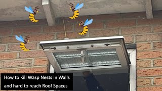How to Kill Wasp Nests in Walls and hard to reach Roof Spaces