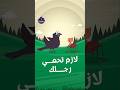 بيكو خرج الشوكة من رجل عنكب وقاله على فكرة يحمي بيها رجله قصص_اطفال حواديت_اطفال mp3