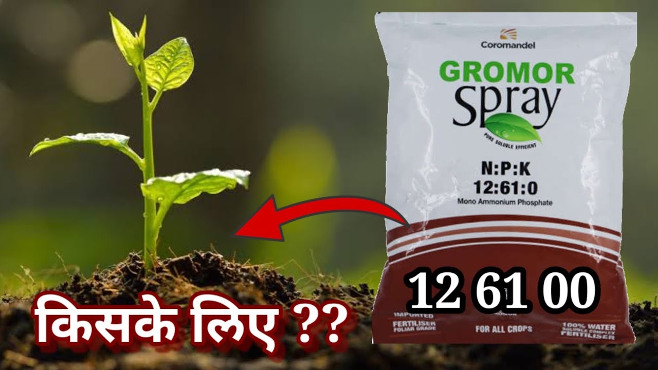 12 61 00/mono Amonium phosphate