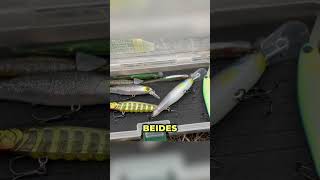 Gummifisch vs Hardbait – welcher Köder bringt mehr Bisse am ELK?!