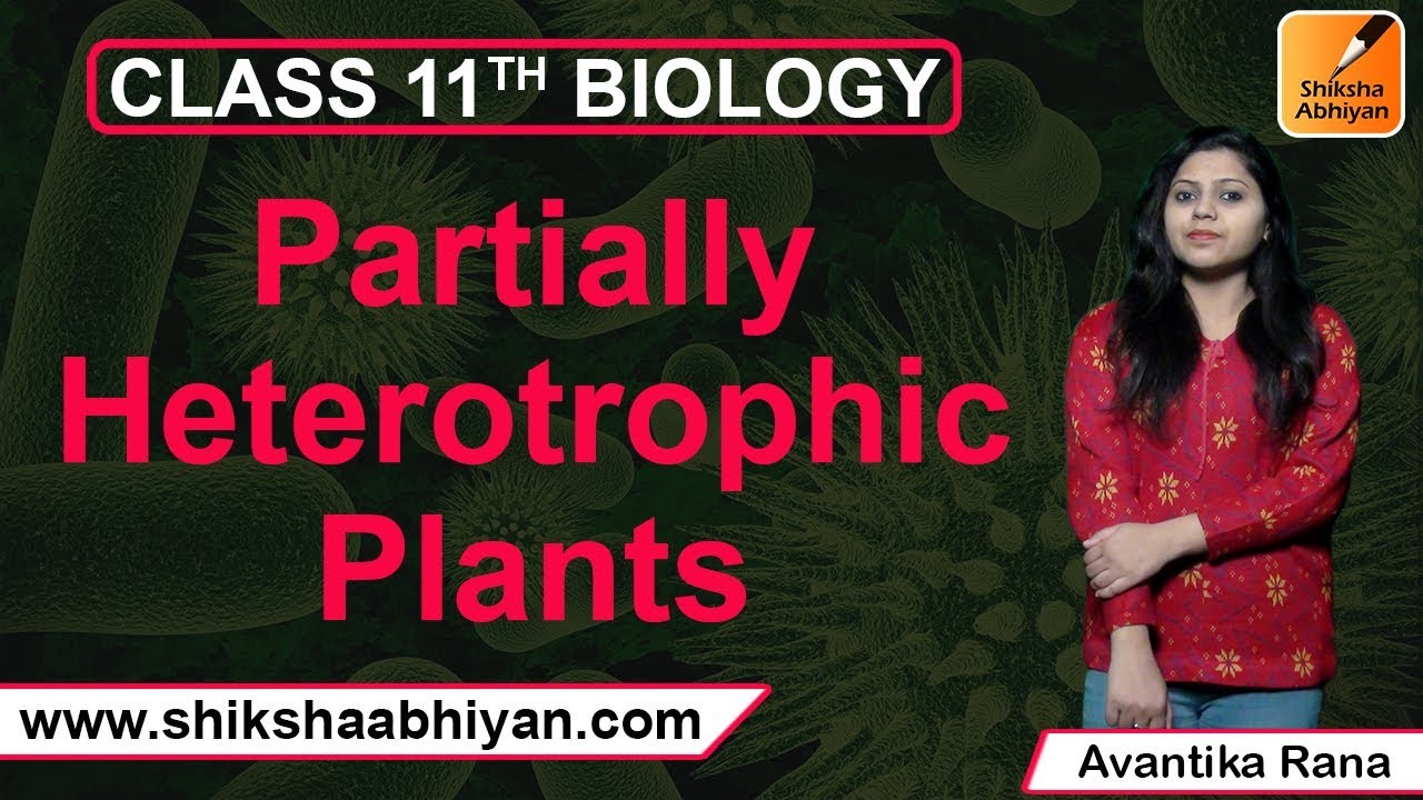 Q7 Partially Heterotrophic plantsCBSE Class 11 Biology YouTube