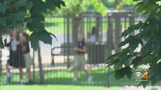 Ascent Classical Academy Set To Leave Douglas County School District Over Gun Policy