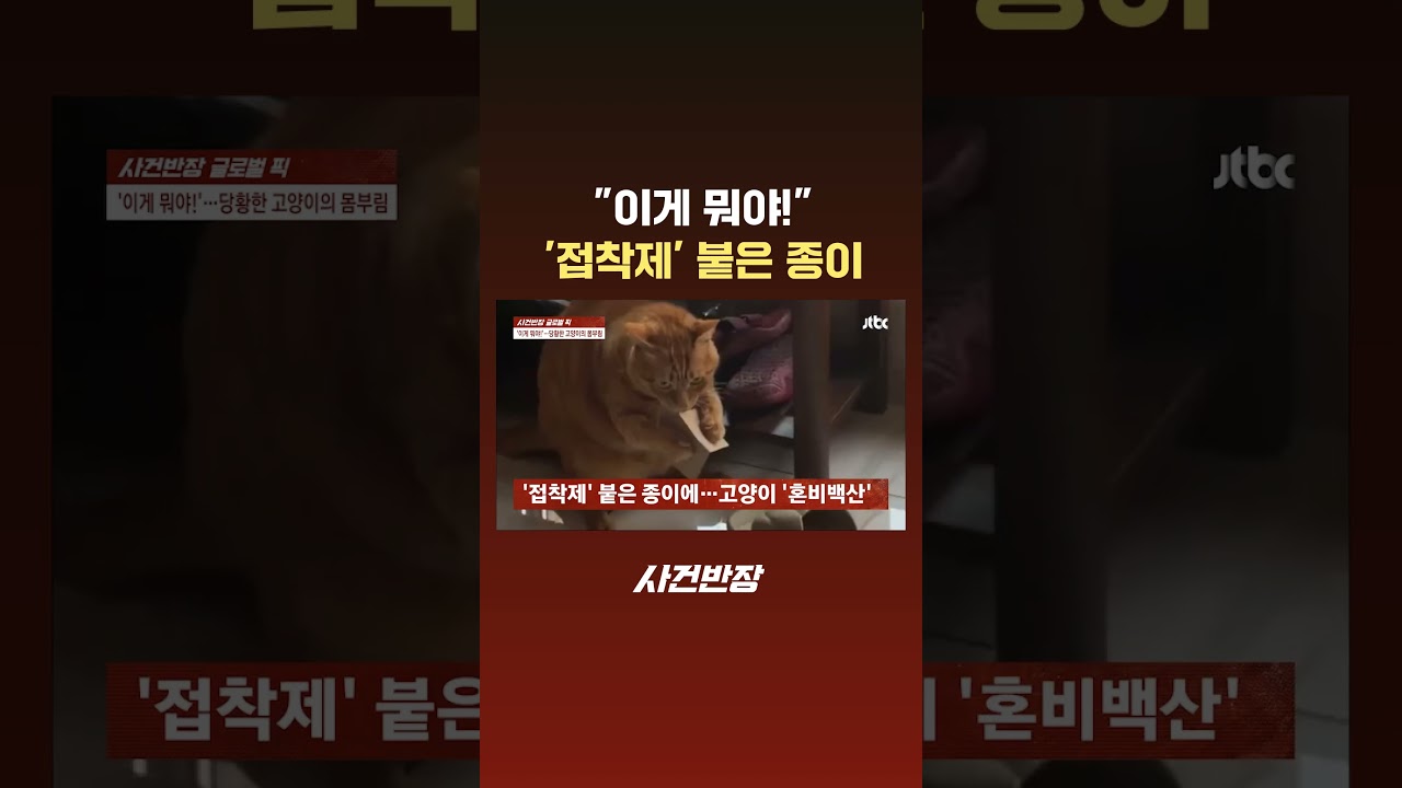 ⁣"이게 뭐야!" '접착제' 붙은 종이 #JTBC #Shorts