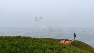 How to Make Giant Bubbles (With Dawn Platinum)