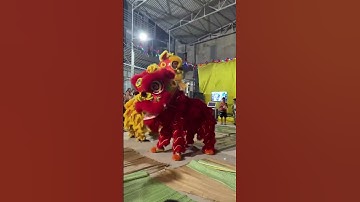 Vui trung thu 2022 xóm Dộc thôn Hoàng Mai 3/ Bắc Giang/ 2022