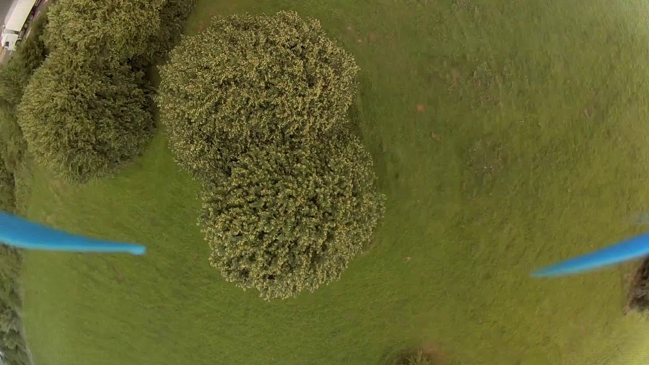 Northampton. Delapre lake. или как мы ходили на рыбалку.