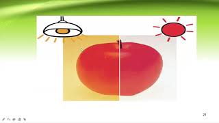 Color Parameters in Dentistry
