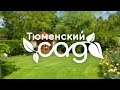 Тюменский сад 24.09.19