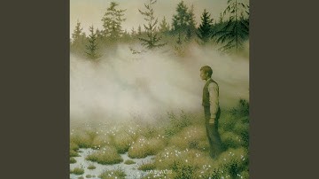 The Fairy That Disappeared