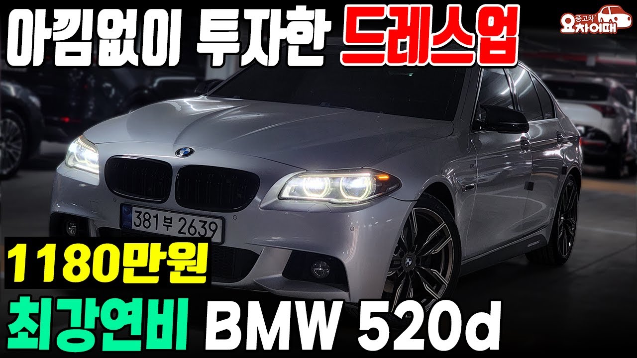 아낌없이 투자한 드레스업 bmw 520d 연비 끝장납니다
