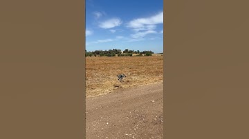 Holybro x500 v2 Drone
