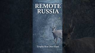 Trophy Roe Deer in Remote Russia #biggamehunting #wildlife #hunting #deer #roedeer