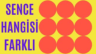 Fark bulma bulmaca görsel zeka renk yarışması sorular akıl zeka soruları screenshot 4