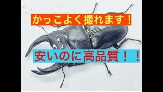 【便利グッズ】最近話題の撮影ボックスが来たー！！【PULUZ】