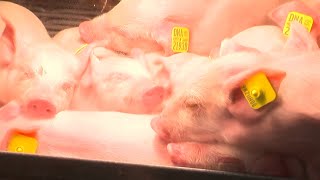 Heather Brown And Jason DeRusha Go To The Miracle Of Birth Center