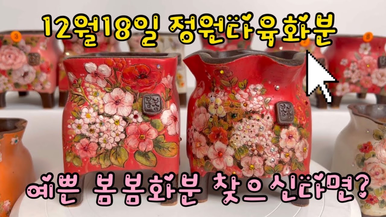 12월 19일 예쁜봄봄화분 찾으신다면 정원다육화분!!