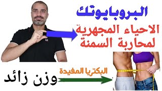 البروبايوتك | تخسيس الوزن والتخلص من الدهون بواسطة الكائنات المجهرية