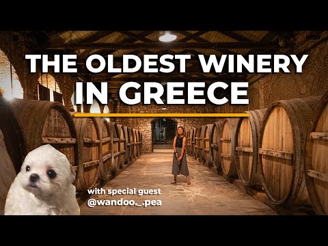 Greece Road Trip | Part 2 | Kyparissia, Patra, Achaia Clauss | Greece Travel