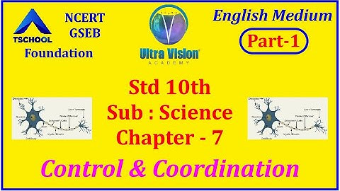 Std 10| Eng Med | Science |Ch - 7| Control & Coordination |Part-1|NCERT| @ultravisionacademy944