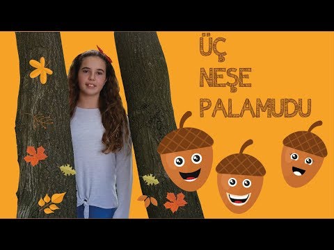 Neşe Palamudu - Onur Erol