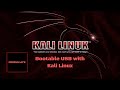 How to create a bootable USB for Kali Linux [On Mac]