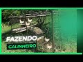 Fazendo um Galinheiro