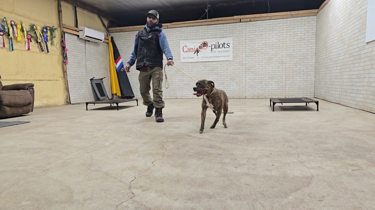 Я на первой неделе.