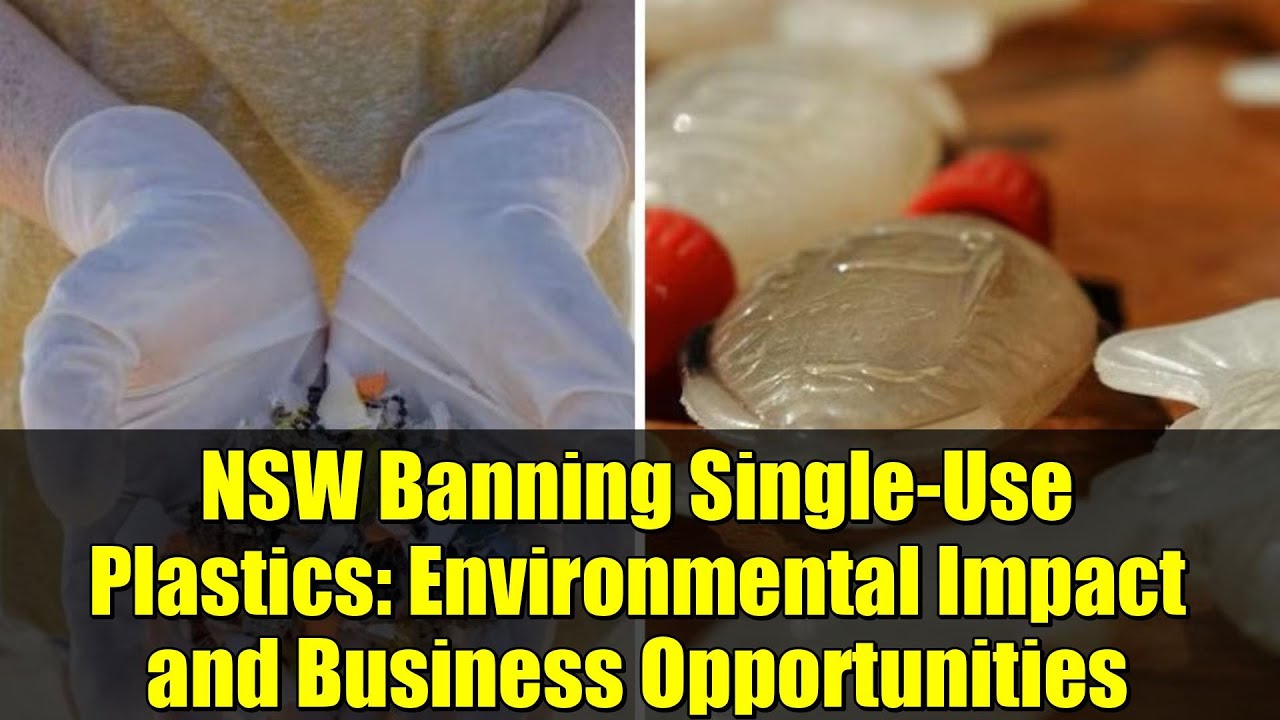 NSW Banning Single-Use Plastics: Environmental Impact and Business Opportunities