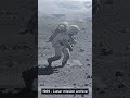 Real Footage of Astronauts on the Moon 🌕 | Rare 1969 Lunar Walk