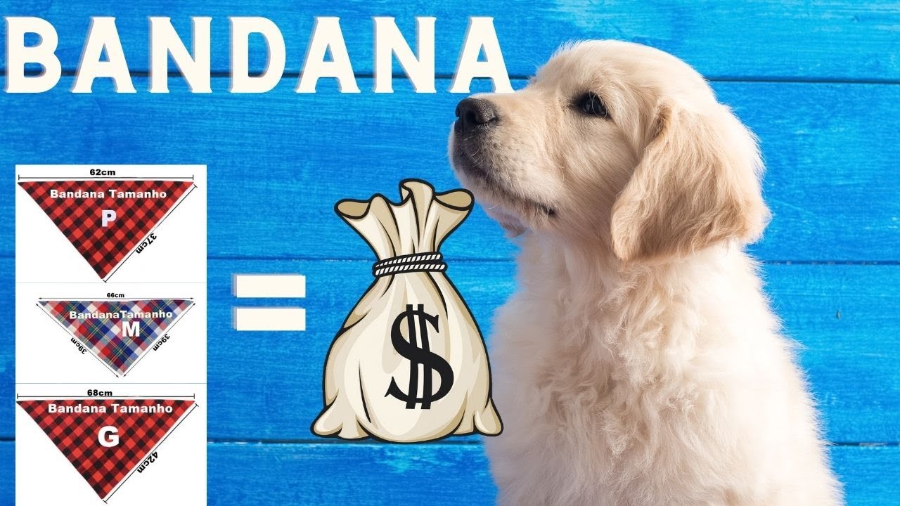 BANDANA DOG, Com molde P - M - G