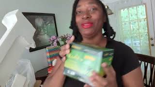 Food Lion Grocery Haul | Shopping Before My Mobile Notary Appointments & Busy Day Vlog